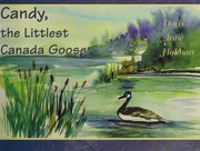 candy-the-littlest-canada-goose-cover