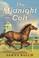 Cover of: The midnight colt