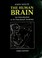 Cover of: The human brain