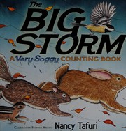 Cover of: The big storm: a very soggy counting book