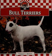 bull-terriers-cover