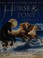 Cover of: The Kingfisher book of horse & pony stories