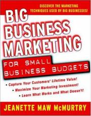 Cover of: Big Business Marketing For Small Business Budgets