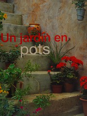 Un jardin en pots by Antony Atha