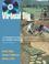 Cover of: Virtual Dig -PR