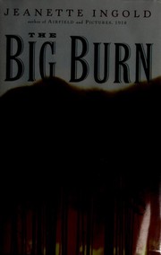 Cover of: The Big Burn by Jeanette Ingold