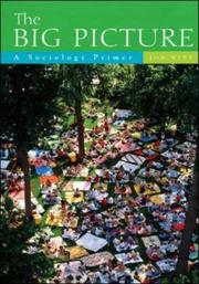 Cover of: The Big Picture: A Sociology Primer