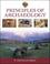 Cover of: Principles of Archaeology