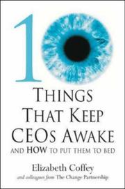 Cover of: 10 Things That Keep Ceos Awake: An How to Put Them to Bed