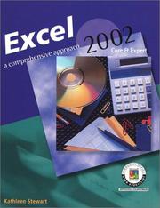 Cover of: Excel 2002: A Comprehensive Approach, Student Edition