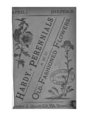 Hardy perennials and old-fashioned garden flowers by John Wood, Wood, John of Woodville, Eng., John Wood, John Wood