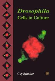 Cover of: Drosophila cells in culture