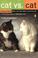 Cover of: Cat Vs. Cat