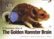 Cover of: A stereotaxic atlas of the golden hamster brain