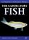 Cover of: The Laboratory Fish (Handbook of Experimental Animals)