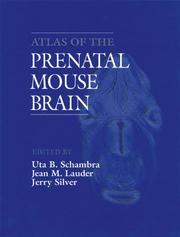 Atlas of the prenatal mouse brain by Uta B. Schambra