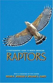 Cover of: A Photographic Guide to North American Raptors (A Volume in the AP Natural World Series) (Ap Natural World) by Brian K. Wheeler, William S. Clark