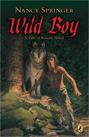 Cover of: Wild Boy by Nancy Springer