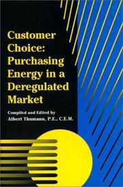 Cover of: Customer Choice: Purchasing Energy In A Deregulated Market
