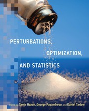 Cover of: Perturbations, Optimization, and Statistics