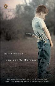 Cover of: The Turtle Warrior: A Novel