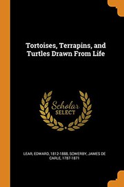 Cover of: Tortoises, Terrapins, and Turtles Drawn from Life