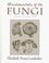 Cover of: Fundamentals of the fungi