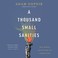 Cover of: A Thousand Small Sanities