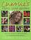 Cover of: Enjoy Your Garden