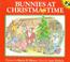 Cover of: Bunnies at Christmas