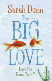 Cover of: Big Love by Sarah Dunn