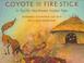 Cover of: Coyote and the fire stick
