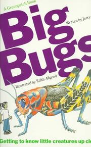 Cover of: Big bugs