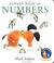 Cover of: Kipper's book of numbers