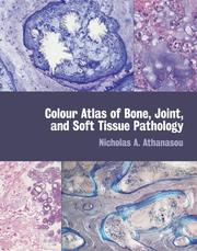 Cover of: Colour atlas of bone, joint, and soft tissue pathology