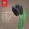 Cover of: The Black Tulip