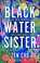 Cover of: Black Water Sister