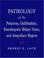 Cover of: Pathology of the Pancreas, Gallbladder, Extrahepatic Biliary Tract, and Ampullary Region (Medicine)