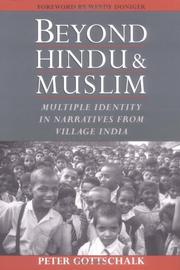 Cover of: Beyond Hindu and Muslim: multiple identity in narratives from village India