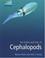 Cover of: The Brains and Lives of Cephalopods