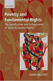 Poverty and Fundamental Rights by David Bilchitz