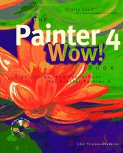 Cover of: The Painter 4 Wow! book