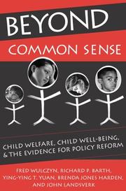 Cover of: Beyond Common Sense: Child Welfare, Child Well-Being, and the Evidence for Policy Reform
