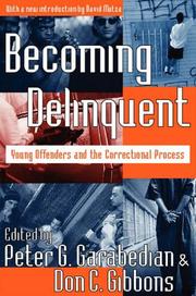 Cover of: Becoming Delinquent: Young Offenders and the Correctional Process
