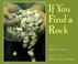 Cover of: If you find a rock