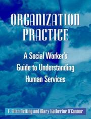 Cover of: Organization practice: a social worker's guide to understanding human services