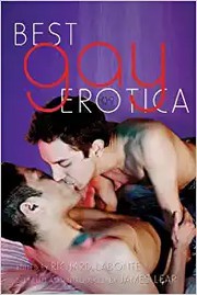 Best Gay Erotica 2009 by Richard Labonté, James Lear