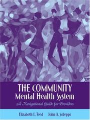 Cover of: The Community Mental Health System: A Navigational Guide for Providers