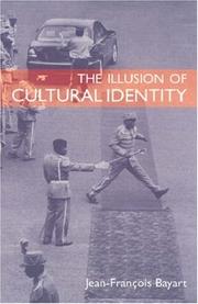 The illusion of cultural identity by Jean-François Bayart