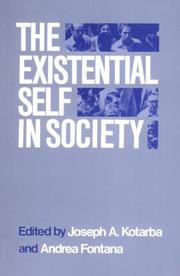 Cover of: The Existential Self in Society